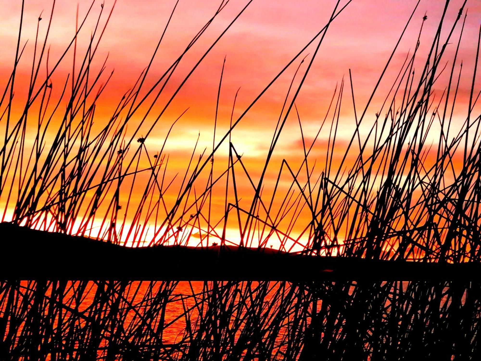 Uros Waliski Lodge Puno Camera foto